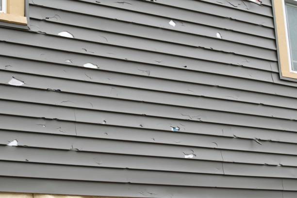 Best Custom Siding Design  in India Hook, SC